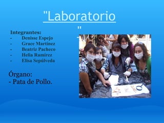 "Laboratorio
Integrantes:
-   Denisse Espejo
                  "
-   Grace Martínez
-   Beatriz Pacheco
-   Helia Ramírez
-   Elisa Sepúlveda

Órgano:
- Pata de Pollo.
 