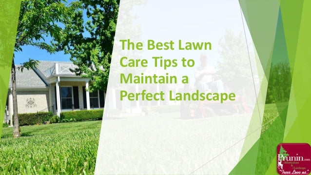 photo Lawn Care Tips the best lawn care tips to maintain a
