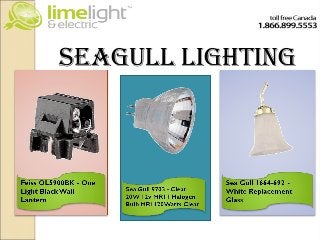 seaguLL Lighting