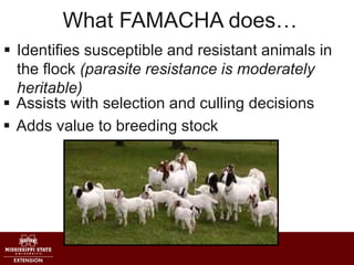 What FAMACHA does…
 Identifies susceptible and resistant animals in
the flock (parasite resistance is moderately
heritabl...