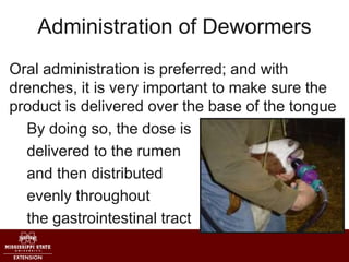 Administration of Dewormers
Oral administration is preferred; and with
drenches, it is very important to make sure the
pro...