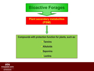 Bioactive Forages
Plant secondary metabolites
(PSM)
Compounds with protection function for plants, such as:
 Tannins
 Al...
