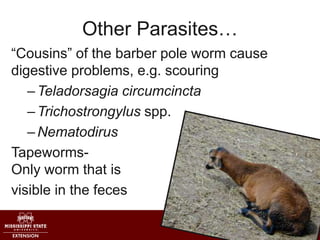 Other Parasites…
“Cousins” of the barber pole worm cause
digestive problems, e.g. scouring
–Teladorsagia circumcincta
–Tri...