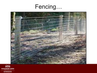 Fencing…
 