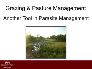 Grazing & Pasture Management
Another Tool in Parasite Management
 