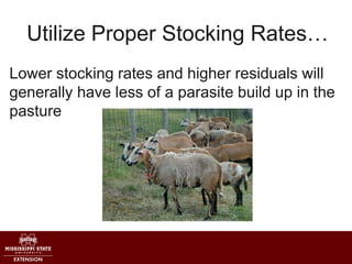 Utilize Proper Stocking Rates…
Lower stocking rates and higher residuals will
generally have less of a parasite build up i...