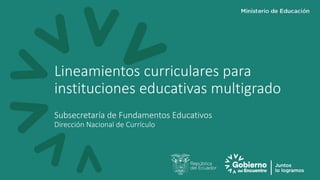 Lineamientos curriculares para
instituciones educativas multigrado
Subsecretaría de Fundamentos Educativos
Dirección Nacional de Currículo
 