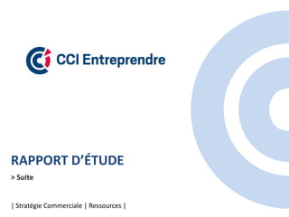 RAPPORT D’ÉTUDE
> Suite
| Stratégie Commerciale | Ressources |
 