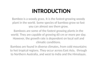 INTRODUCTION
Bamboo is a woody grass. It is the fastest-growing woody
plant in the world. Some species of bamboo grow so fast
you can almost see them grow.
Bamboos are some of the fastest growing plants in the
world. They are capable of growing 60 cm or more per day.
However, the growth rate is dependent on local soil and
climatic conditions.
Bamboo are found in diverse climates, from cold mountains
to hot tropical regions. They occur across East Asia, through
to Northern Australia, and west to India and the Himalayas.
 