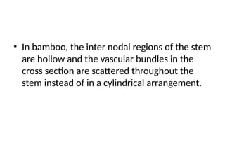 • In bamboo, the inter nodal regions of the stem
are hollow and the vascular bundles in the
cross section are scattered throughout the
stem instead of in a cylindrical arrangement.
 