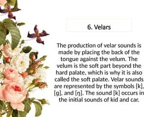 Comprehensive Overview of Voicing, Place, and Manner of Articulation in ...