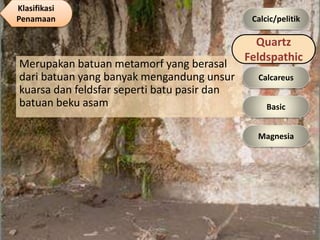 Merupakan batuan metamorf yang berasal
dari batuan yang banyak mengandung unsur
kuarsa dan feldsfar seperti batu pasir dan
batuan beku asam
Calcic/pelitik
Calcareus
Basic
Magnesia
Quartz
Feldspathic
Klasifikasi
Penamaan
 