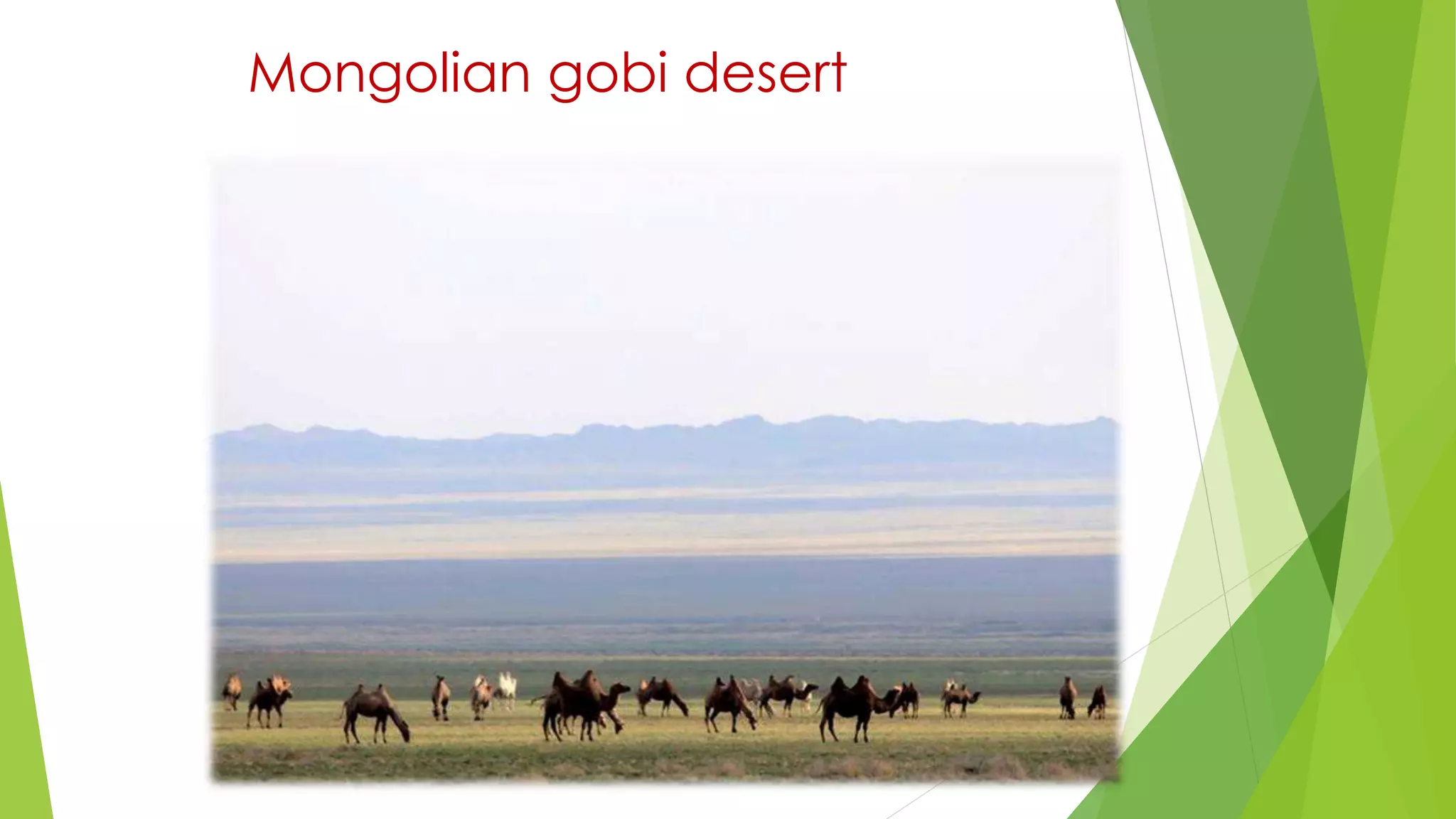 Mongolian gobi desert
 