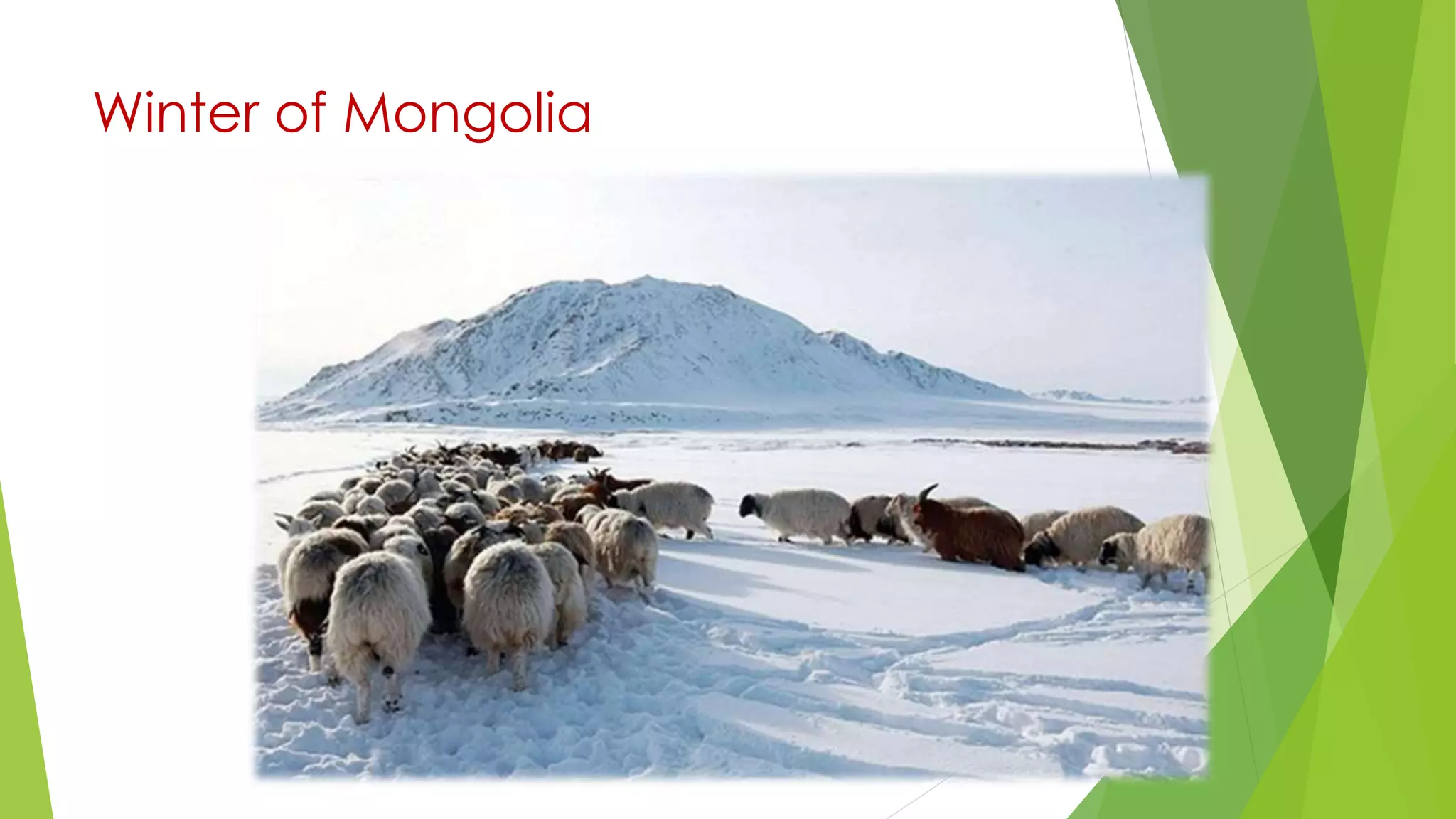 Winter of Mongolia
 