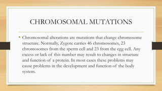 CHROMOSOMAL MUTATIONS
• Chromosomal alterations are mutations that change chromosome
structure. Normally, Zygote carries 46 chromosomes, 23
chromosomes from the sperm cell and 23 from the egg cell. Any
excess or lack of this number may result to changes in structure
and function of a protein. In most cases these problems may
cause problems in the development and function of the body
system.
 