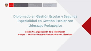 Sesión N°1 Organización de la Información
Bloque 1: Análisis e interpretación de los datos obtenidos
Diplomado en Gestión Escolar y Segunda
Especialidad en Gestión Escolar con
Liderazgo Pedagógico
 