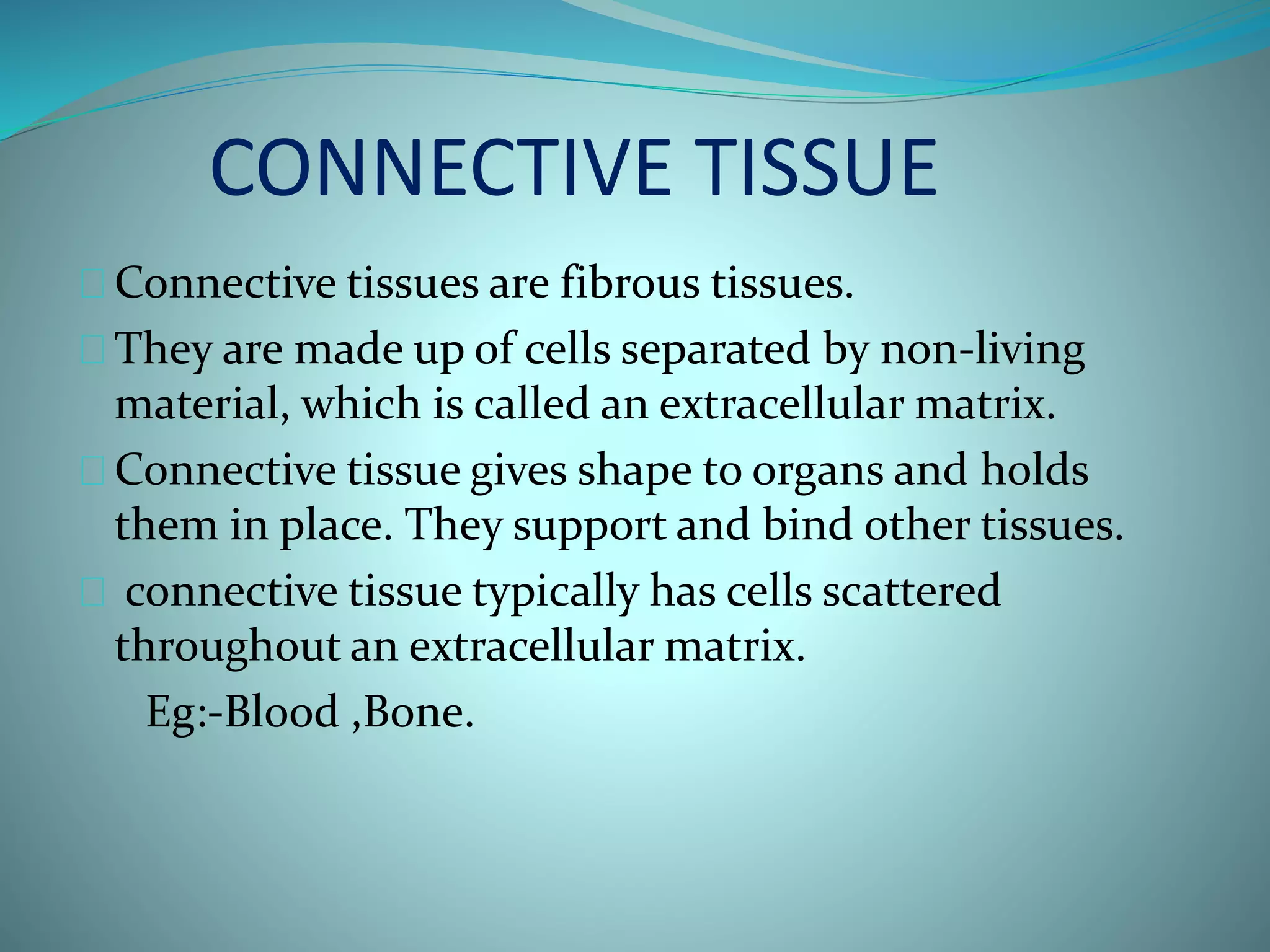 CONNECTIVE TISSUE 
Connective tissues are fibrous tissues. 
They are made up of cells separated by non-living 
material, which is called an extracellular matrix. 
Connective tissue gives shape to organs and holds 
them in place. They support and bind other tissues. 
connective tissue typically has cells scattered 
throughout an extracellular matrix. 
Eg:-Blood ,Bone. 
 