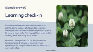 Natural Selection and Evolution Explained | PDF