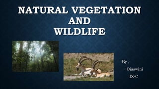 NATURAL VEGETATION
AND
WILDLIFE
By ,
Ojaswini
IX-C
 