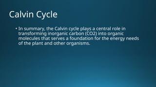 Comprehensive Overview of the Calvin Cycle in Photosynthesis | PPTX