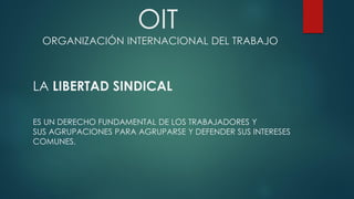 OIT
ORGANIZACIÓN INTERNACIONAL DEL TRABAJO
LA LIBERTAD SINDICAL
ES UN DERECHO FUNDAMENTAL DE LOS TRABAJADORES Y
SUS AGRUPACIONES PARA AGRUPARSE Y DEFENDER SUS INTERESES
COMUNES.
 