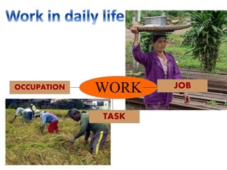 WORK JOB
OCCUPATION
TASK
 