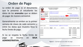 Orden de Pago en Curso de Inducción - 2024 | PDF