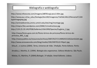 Bibliografia e webliografia:

http://www.infoescola.com/imagens/d8f3fungi-pics1-04m.jpg
http://www.puc.cl/sw_educ/biologia/bio100/imagenes/7a03dc34b12filenameF1104
typeimagejpeg.jpg
http://animaldiversity.ummz.umich.edu/site/img/montage.jpg
http://clopra.files.wordpress.com/2006/11/cedroclose.jpg
http://133.25.19.145/PDB/Galleries/USA1999/Species/Euglena_2.jpg
http://www.flores-guia.com.br/flores-brinco-de-princesa/flores-brinco-de-
princesa_995_1.jpg
http://www.publico.es/resources/archivos/2007/9/27/1190924151652amils2dn.jpg
http://www.anossaescola.com/blog/media/190/20070122-filipe1.jpg
Silva,A. ; e outros (2004). Terra, Universo de Vida. 1ªedição. Porto Editora. Porto.

Amabis,J.; Martho, G. (1994). Biologia dos organismos. Editora Moderna. São Paulo.

Matias, O.; Martins, P. (2004).Biologia. 1ª edição. Areal Editores. Lisboa.
 