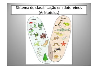 Sistema de classificação em dois reinos
             (Aristóteles)
 