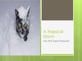 A Tropical
Storm
Asst. Prof. Sopon Pearsanit
 