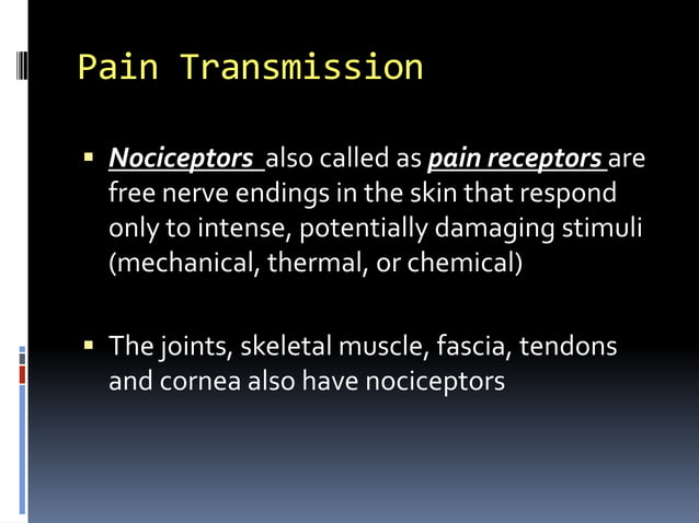 Ppt Pain PPT