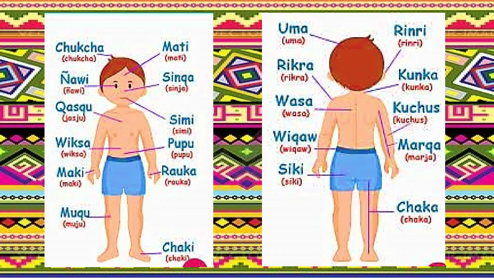 PPT - PARTES DEL CUERPO HUMANO EN QUECHUA - VII CICLO.pptx