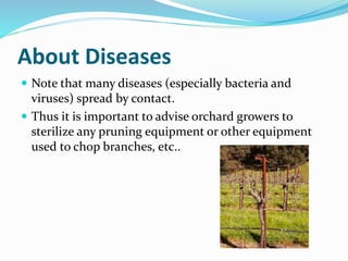 About Diseases
 Note that many diseases (especially bacteria and
viruses) spread by contact.
 Thus it is important to ad...