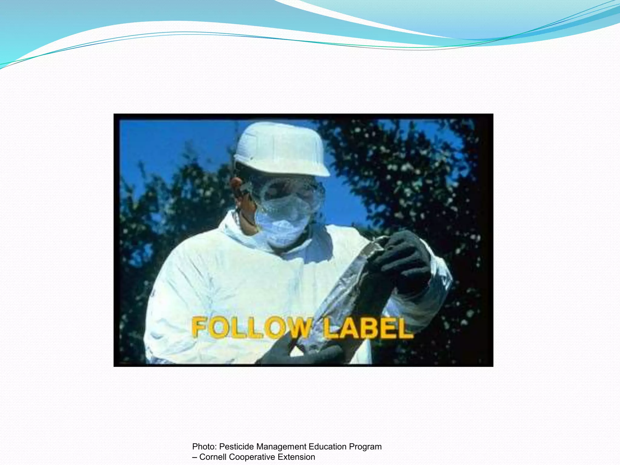 Photo: Pesticide Management Education Program
– Cornell Cooperative Extension
 