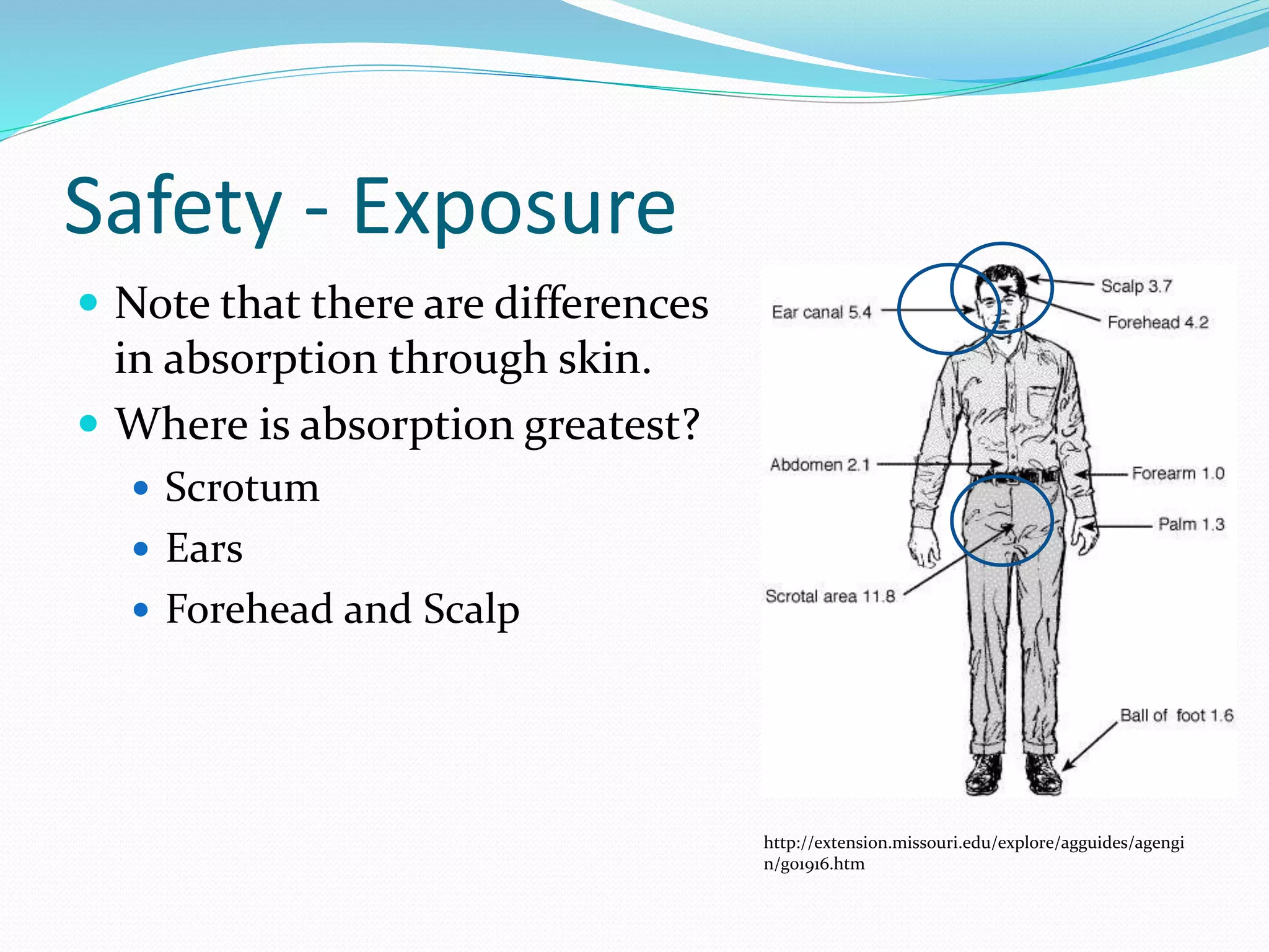 Safety - Exposure
 Note that there are differences
in absorption through skin.
 Where is absorption greatest?
 Scrotum
 Ears
 Forehead and Scalp
http://extension.missouri.edu/explore/agguides/agengi
n/g01916.htm
 