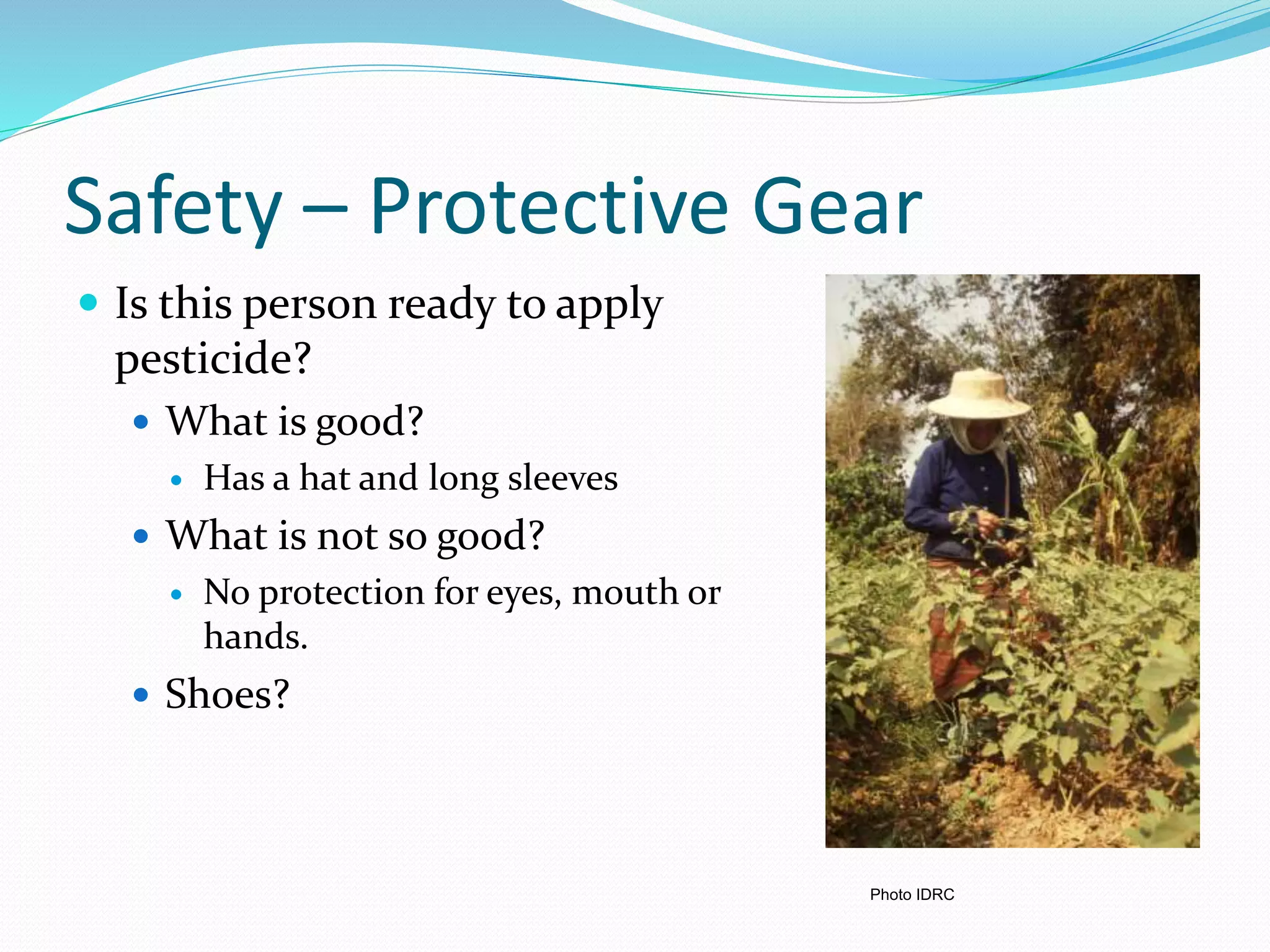 Safety – Protective Gear
 Is this person ready to apply
pesticide?
 What is good?
 Has a hat and long sleeves
 What is not so good?
 No protection for eyes, mouth or
hands.
 Shoes?
Photo IDRC
 