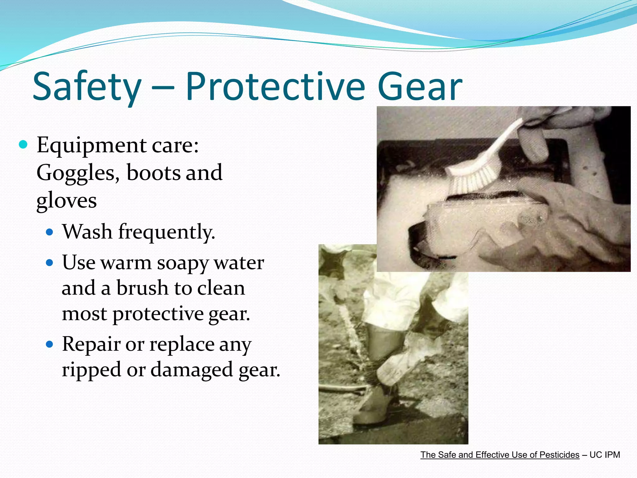 Safety – Protective Gear
 Equipment care:
Goggles, boots and
gloves
 Wash frequently.
 Use warm soapy water
and a brush to clean
most protective gear.
 Repair or replace any
ripped or damaged gear.
The Safe and Effective Use of Pesticides – UC IPM
 