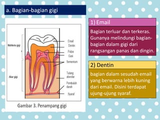 ppt-pelatihan-kader.pptx