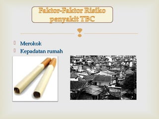 
 MerokokMerokok
 Kepadatan rumahKepadatan rumah
 