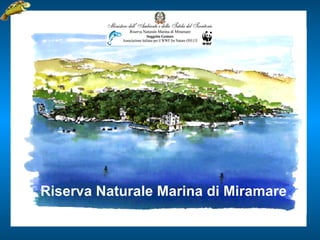 Riserva Naturale Marina di Miramare 