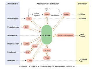 PPT_-_Pharmacokinetics.ppt