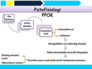 Patofisiologi
PPOK
Gas
Polutan
stress
oksidan
Peroksidasi
Lipid
Kerusakan sel
Inflamasi
Mengaktifkan sel makrofag alveolar
Faktor kemotaktik neutrofil dilepaskan
Neutrofil melepaskan protease
Parenkim paru rusak
Dinding alveolar
rusak
Hipersekresi mukus
 