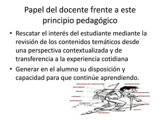 Papel del docente frente a este
         principio pedagógico
• Rescatar el interés del estudiante mediante la
  revisión de los contenidos temáticos desde
  una perspectiva contextualizada y de
  transferencia a la experiencia cotidiana
• Generar en el alumno su disposición y
  capacidad para que continúe aprendiendo.
 