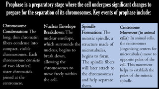 PPT-PROPHASE-SCIENCE-7-GROUP-2 topic.pptx