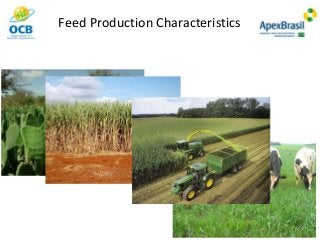 Feed Production Characteristics
 