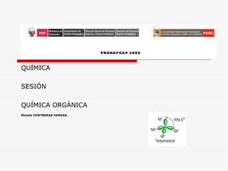 QUÍMICA SESIÓN QUÍMICA ORGÁNICA Moisés CONTRERAS VARGAS. 