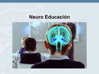 Neuro Educación