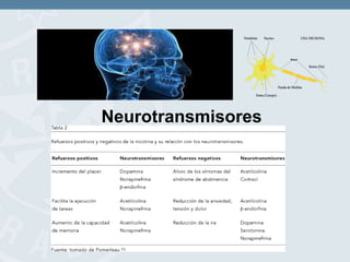 Neurotransmisores