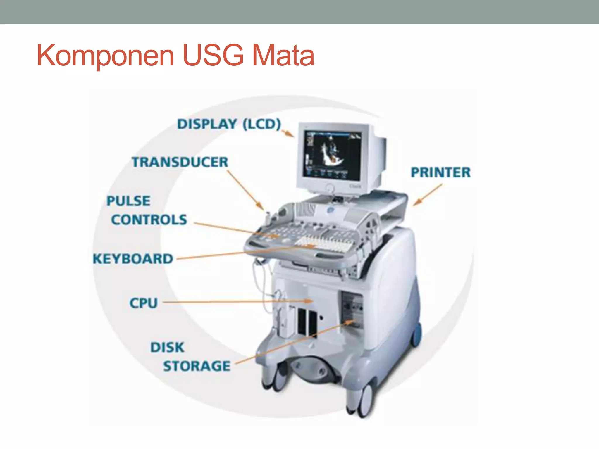 Ppt Referat Usg Mata Pptx