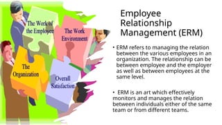 PPT-REPORT Human Resource Management.pptx